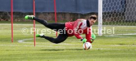 VfB Stuttgart Training