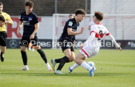 22.02.25 U19 VfB Stuttgart - U19 Hertha BSC Berlin