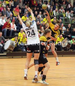 TV Nellingen