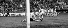 VfB Stuttgart - 1. FC K&ouml;ln