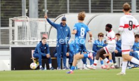 14.09.24 U17 VfB Stuttgart - U17 TSG 1899 Hoffenheim