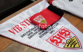 VfB Stuttgart - FC Br&uuml;nn