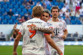 20.09.25 TSG 1899 Hoffenheim - FC Bayern M&uuml;nchen