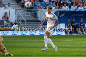20.09.25 TSG 1899 Hoffenheim - FC Bayern M&uuml;nchen