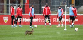 28.11.23 VfB Stuttgart Training