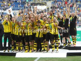 U19 Deutsche Meisterschaft Finale 1899 Hoffenheim - Borussia Dortmund