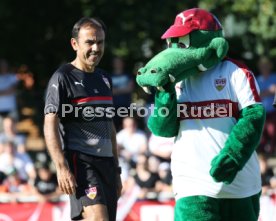 VFB Stuttgart