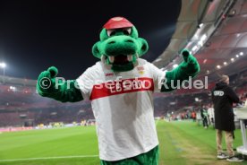 29.01.26 VfB Stuttgart - Young Boys Bern