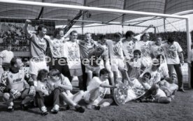 05.06.1993 VfB Stuttgart - SV Werder Bremen