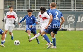 25.11.23 U19 VfB Stuttgart - U19 TSG 1899 Hoffenheim