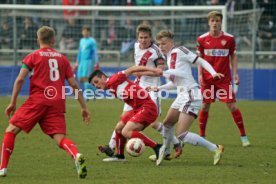 U19 VfB Stuttgart