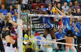 Allianz MTV Stuttgart - Ladies in Black Aachen