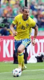 UEFA Frankreich Euro 2016 Irland - Schweden