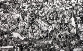 25.05.88 PSV Eindhoven - Benfica Lissabon