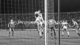 VfB Stuttgart - 1. FC K&ouml;ln