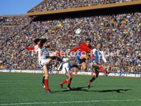 FIFA WM 1978