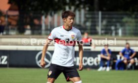 14.07.21 VfB Stuttgart - SV Darmstadt 98