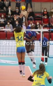 03.12.21 Allianz MTV Stuttgart - SSC Palmberg Schwerin