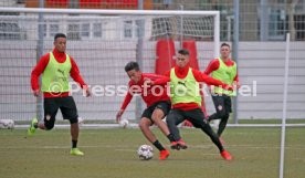 VfB Stuttgart Training