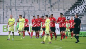 SG Sonnenhof Gro&szlig;aspach - FSV Zwickau