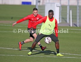 VfB Stuttgart Training