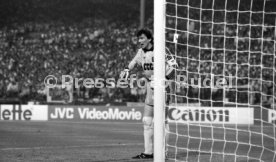 22.06.88 UDSSR - Italien