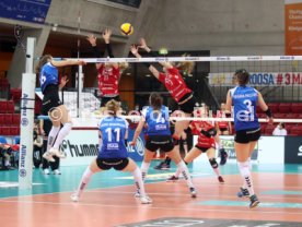 24.02.21 Allianz MTV Stuttgart - Dredsner SC