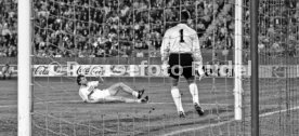 VfB Stuttgart - 1. FC K&ouml;ln