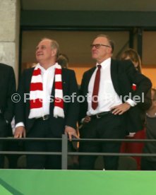 DFB-Pokal Finale 2016 FC Bayern M&uuml;nchen - Borussia Dortmund