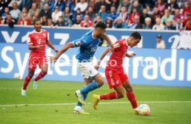 22.10.22 TSG 1899 Hoffenheim - FC Bayern M&uuml;nchen