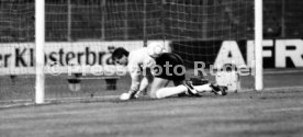 VfB Stuttgart - 1. FC K&ouml;ln