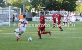 VFB Stuttgart-Fan Auswahl Spiel