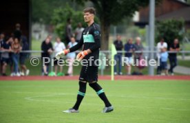 FC Z&uuml;rich - VfB Stuttgart