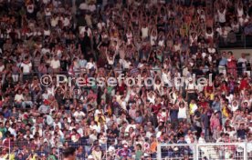 01.06.96 Deutschland - Frankreich
