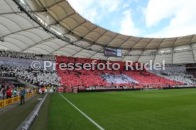 VfB Stuttgart - TSG 1899 Hoffenheim