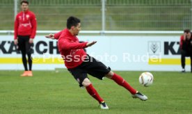 VfB Stuttgart Training