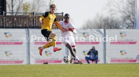 08.02.25 VfB Stuttgart II - SG Dynamo Dresden