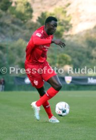 VfB Stuttgart - FC Basel