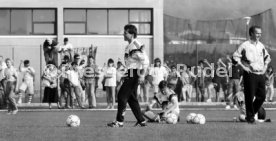 DFB Training