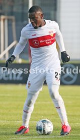 VfB Stuttgart - SG Dynamo Dresden