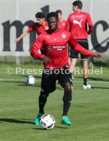 VfB Stuttgart Training
