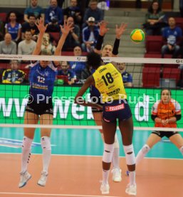 Allianz MTV Stuttgart - Imoco Volley Conegliano