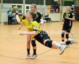 TV Nellingen