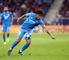 TSG 1899 Hoffenheim - Olympique Lyon