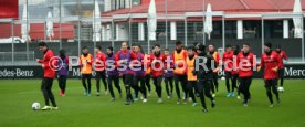 VfB Stuttgart Training