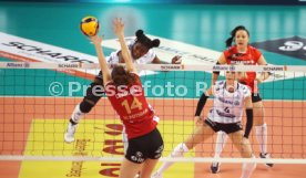 01.01.22 Allianz MTV Stuttgart - SC Potsdam