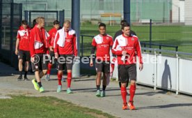 VfB Stuttgart Training