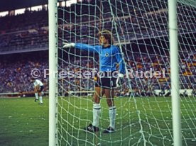 02.07.82 Deutschland - Spanien