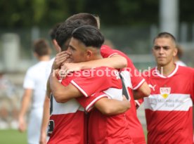 U17 Bundesliga S&uuml;d/S&uuml;dwest Saison 2018/2019 VFB Stuttgart-SV Ulm 1846 Fu&szlig;ball