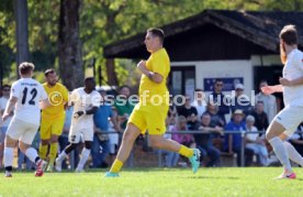 23.08.26 TSV Ph&ouml;nix Steinsfurt - SV Tiefenbach